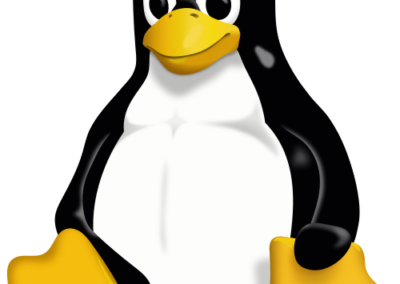 Consulenza informatica | Siti web, WordPress, Moodle, E-Learning, E-Commerce, Sviluppo software 5 Tux.svg